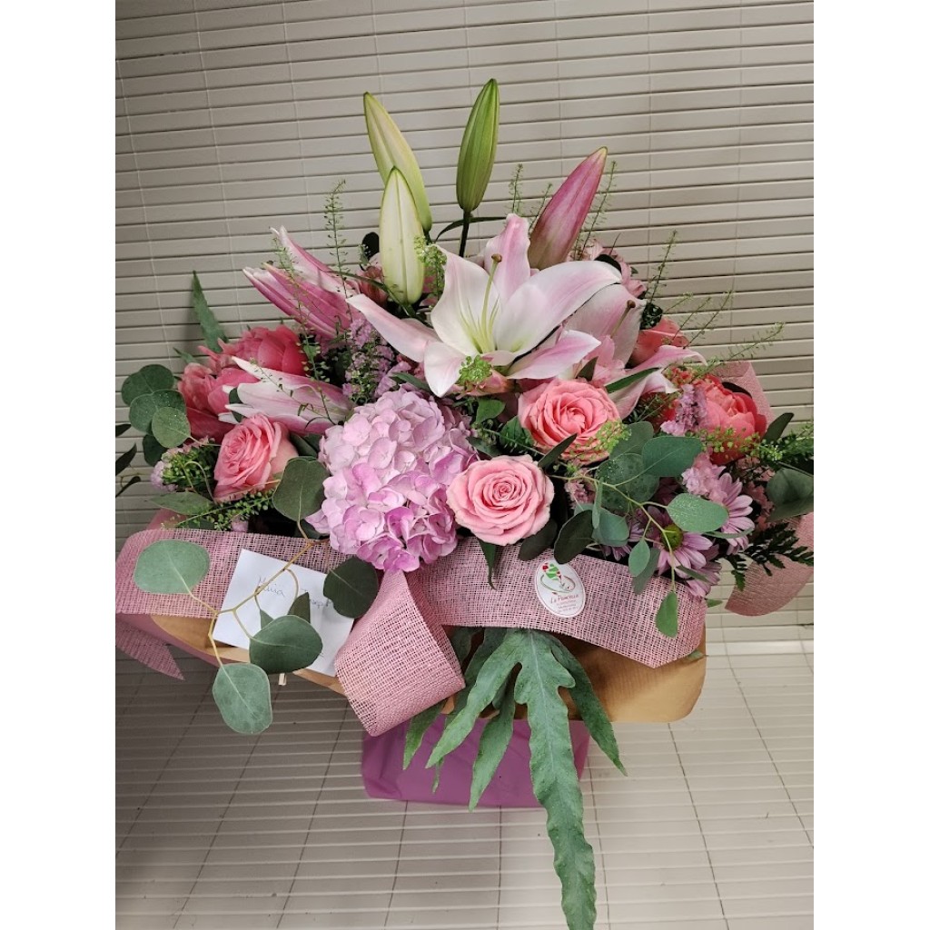 HORTENSIA ROSA