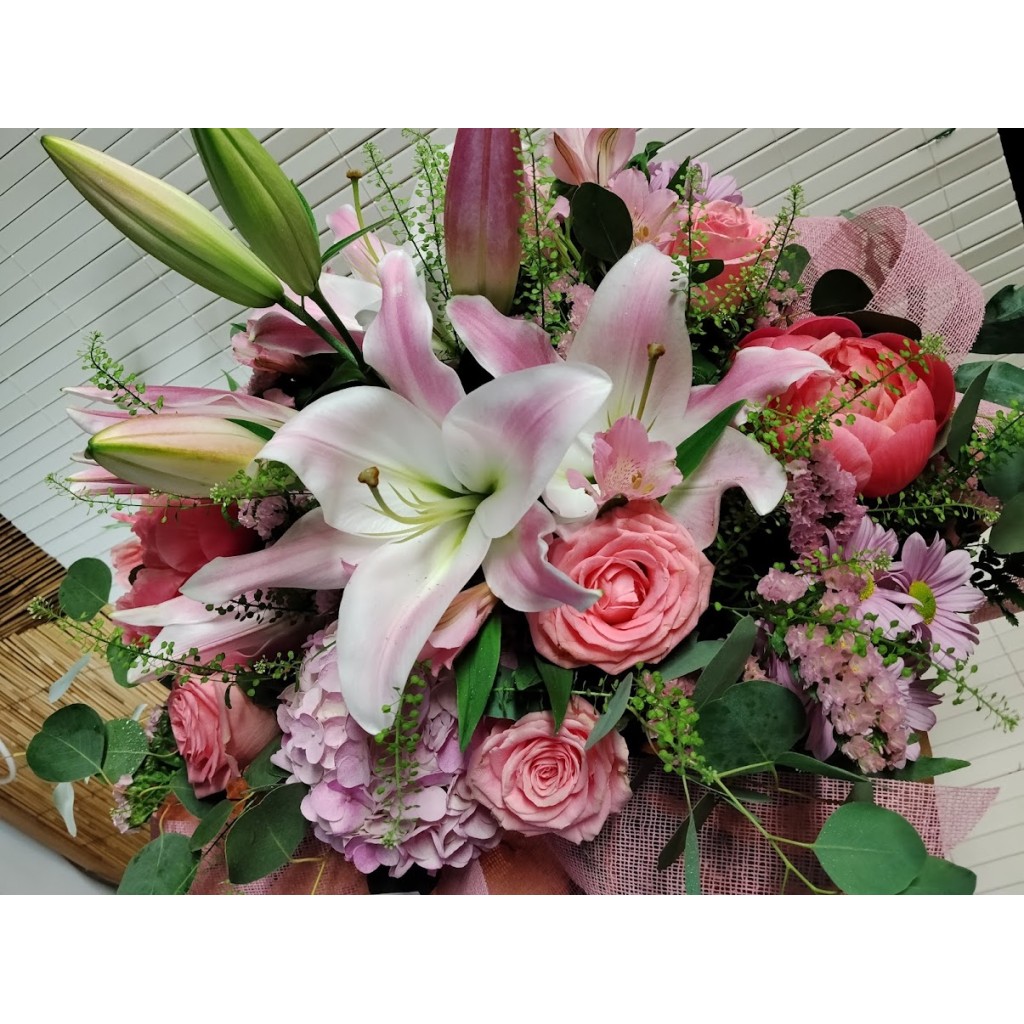 HORTENSIA ROSA 2