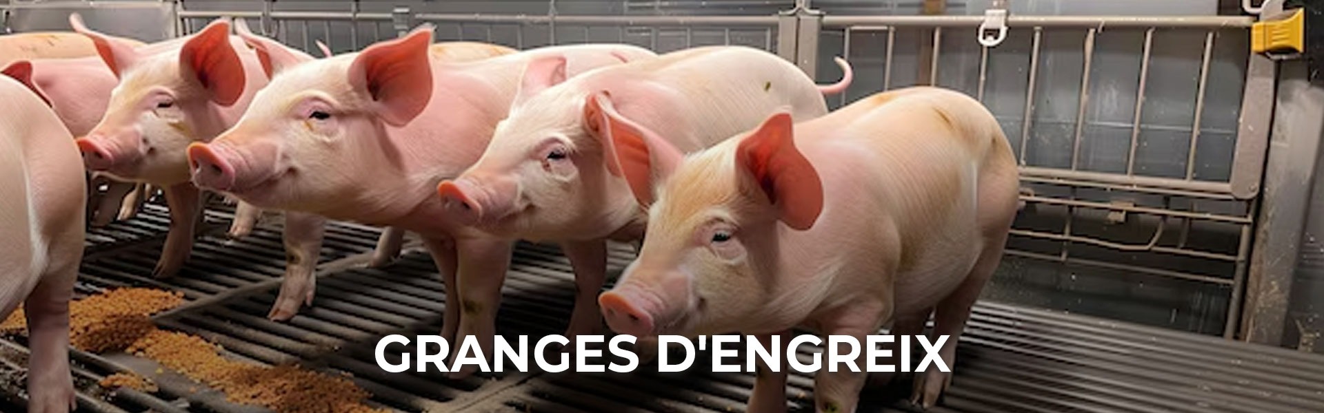 Granges d'engreix
