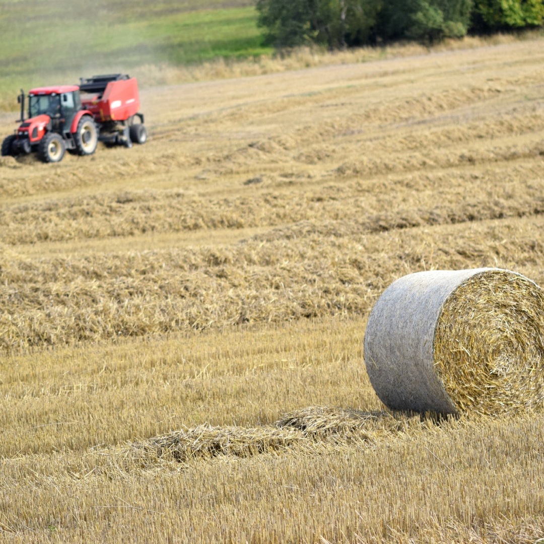 Serveis agrícoles