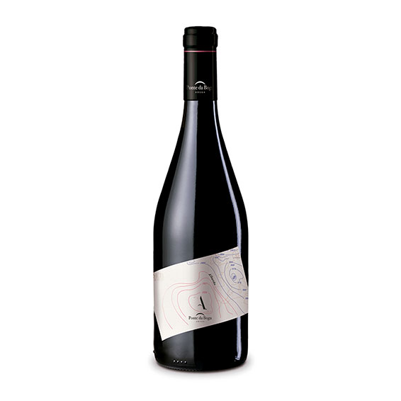 VINO BLANCO PB ALBARIÑO 75CL