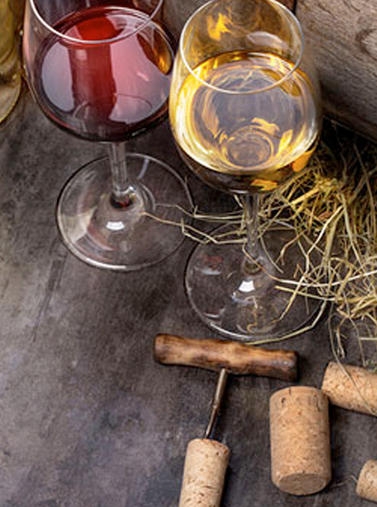 Vinos y Cavas
