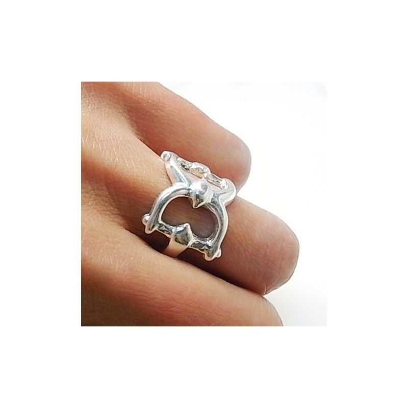 Anillo de Plata de Ley Estribos 1