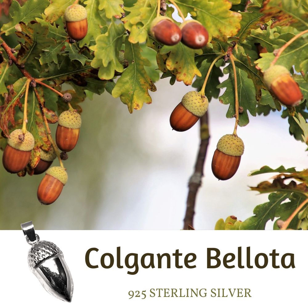 Colgante Bellota de Plata de Ley 5