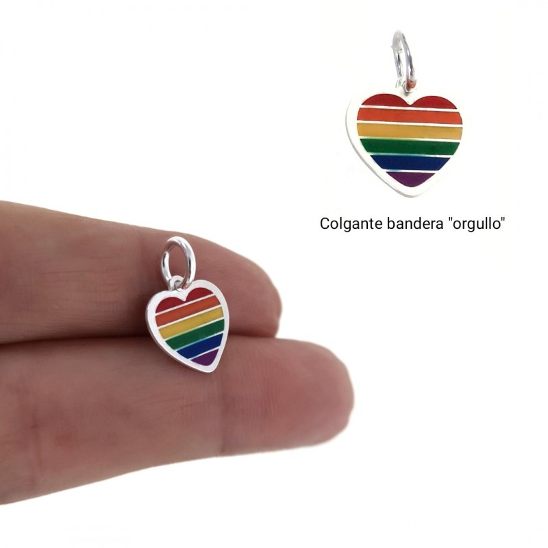 Colgante corazón bandera orgullo de Plata de ley 2