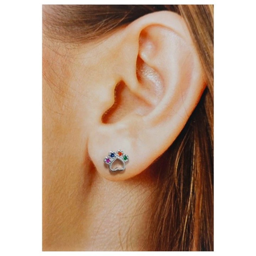 Pendientes huella de Plata de ley rodiada con piedras color 5