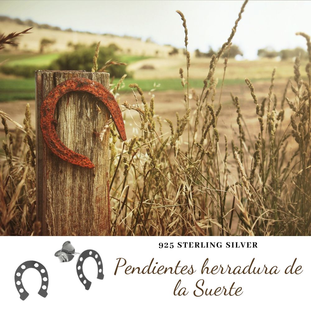 Pendientes herradura de la suerte de Plata de ley 4