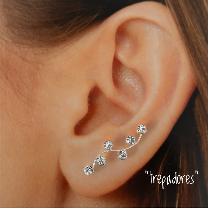 Pendientes trepadores piedras y Plata de ley 1