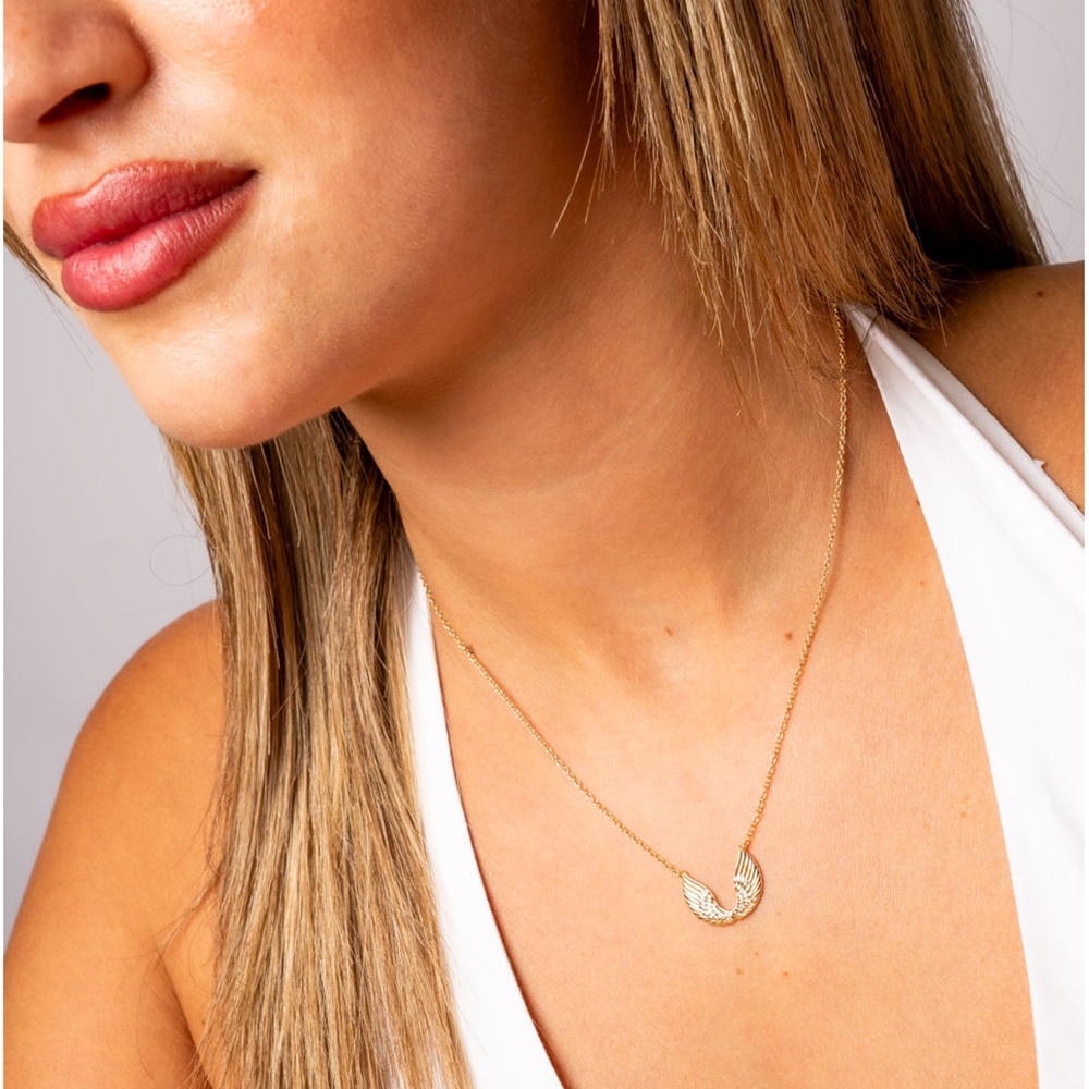 Gargantilla alas de fuerza en Plata de ley 925 chapada en Oro