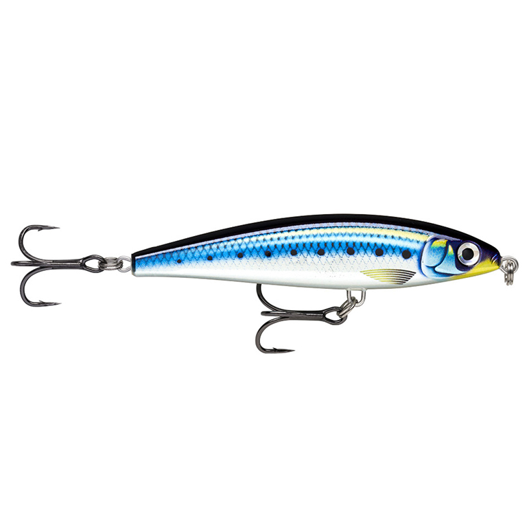 RAPALA X-RAP MAGNUM PREY 10CM XRMAGPR10 HDBSRD 3