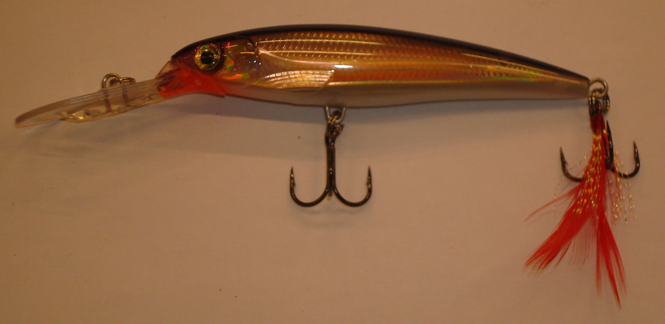 (DX)RAPALA X-RAP DEEP XRD 10 CM PG 2