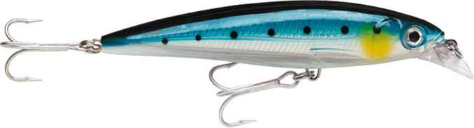 (DX)RAPALA X-RAP SALTWATER SXR 08 CM BSRD