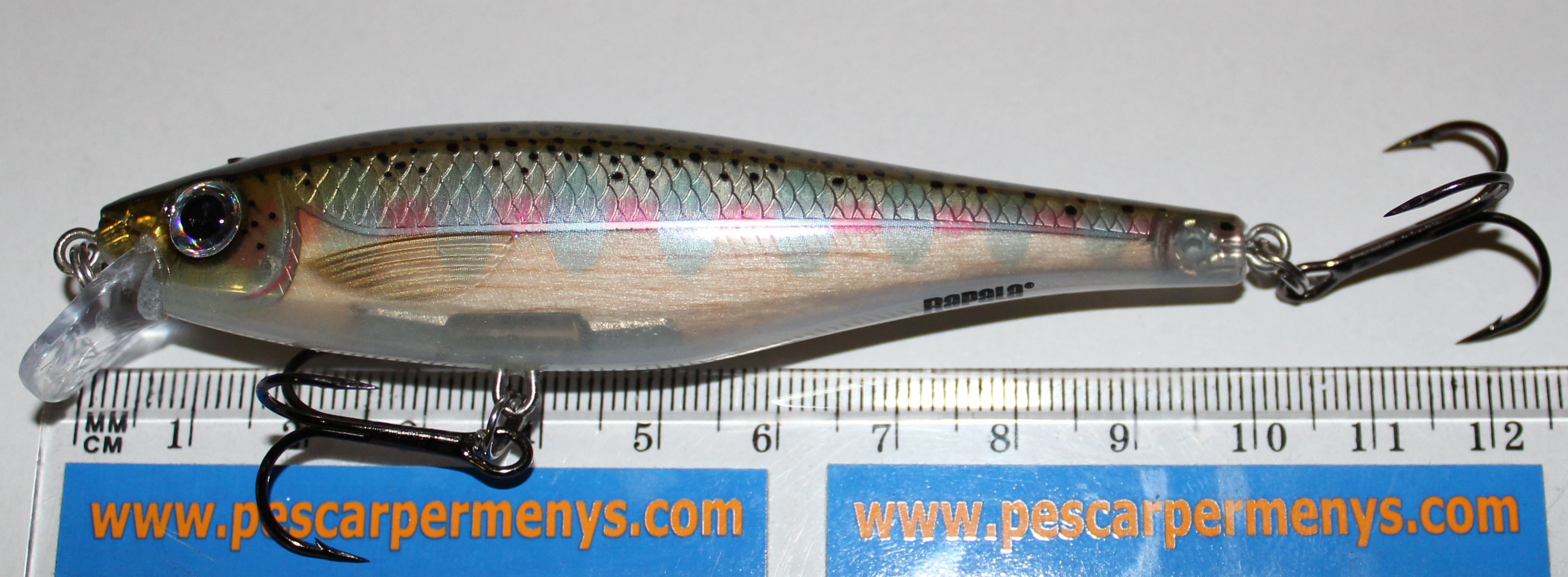 (DX)RAPALA BX MINNOW  BXM10 10CM RT 2
