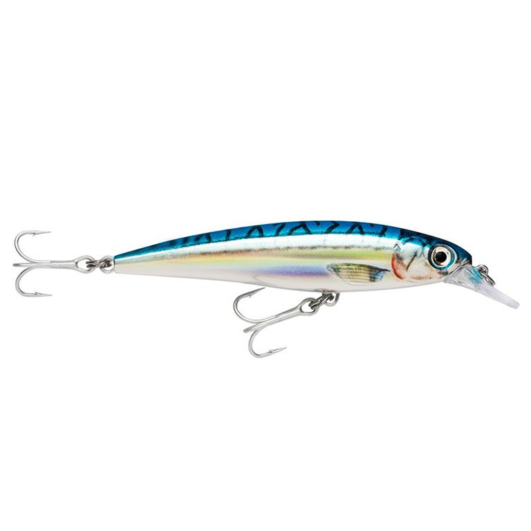 (DX)RAPALA X-RAP SALTWATER SXR 10 CM BM
