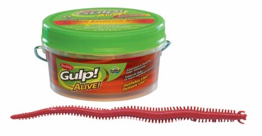 (DX)BERKLEY GULP ALIVE SANDWORM 15cm CAMO