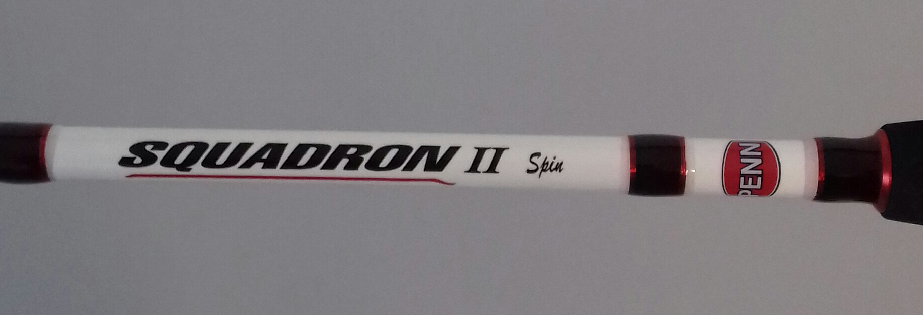 (OF)CAÑA PENN SQUADRON II  SW SPIN 240 15-40gr 3