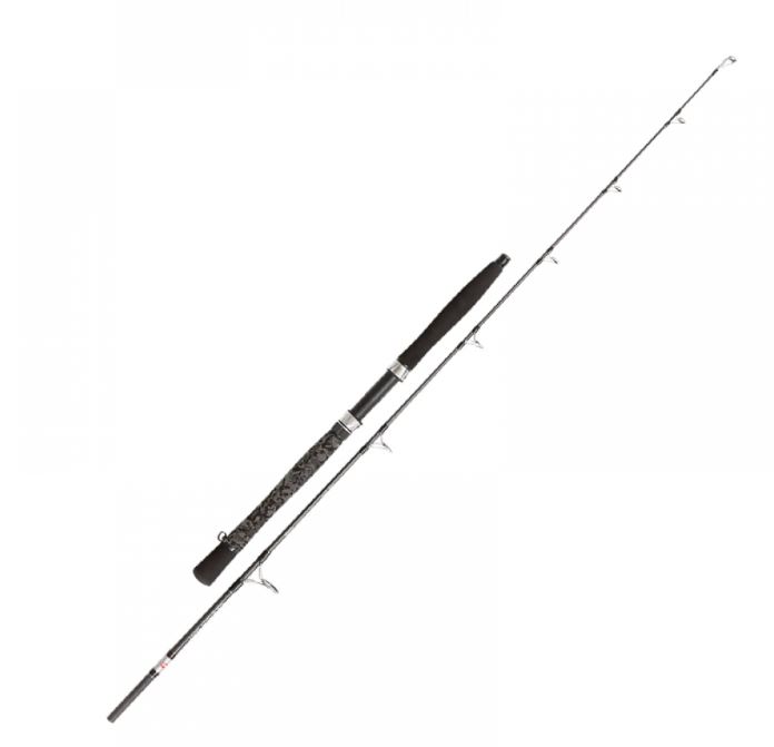 (OF)CAÑA PENN LEGION CAT SILVER Allround 240 100-300g 2