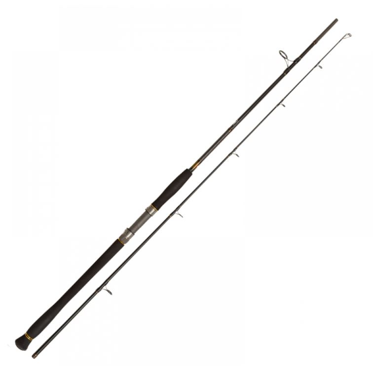 (DX)CAÑA PENN LEGION CAT GOLD Spin 245 50 - 175g 3