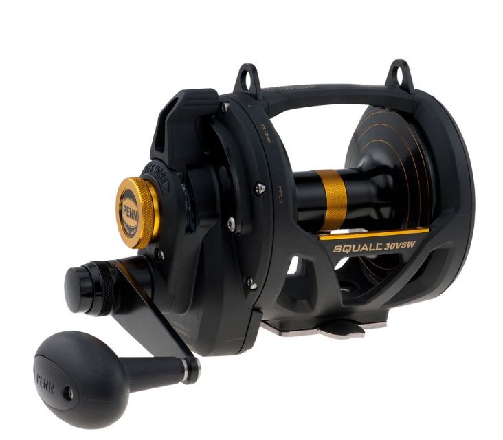 CARRETE PENN SQUALL SQ-30VSW-LD 2-SPEED 4