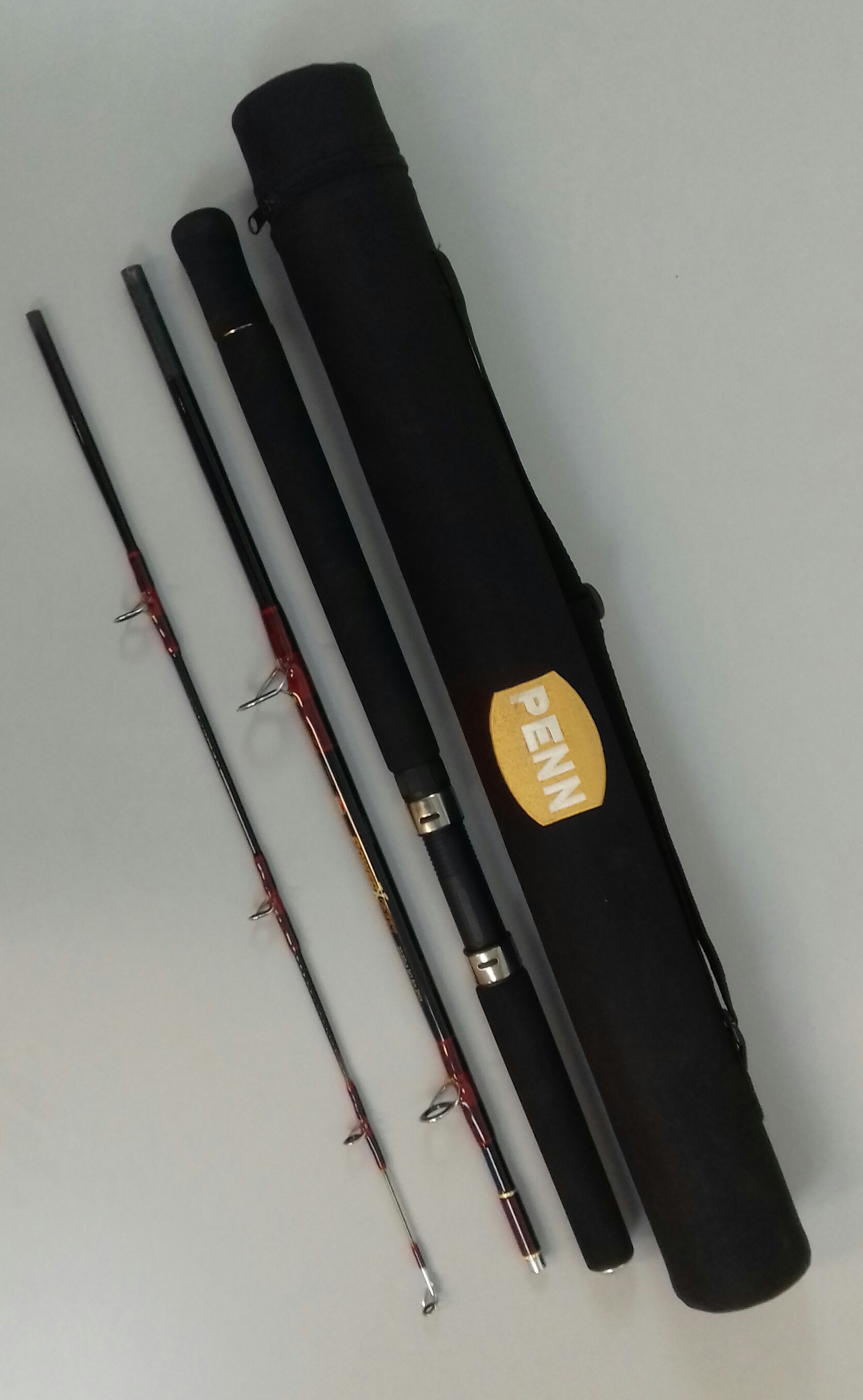(DX)CAÑA PENN POWERSTIX 170 cm 20/30 lbs 3