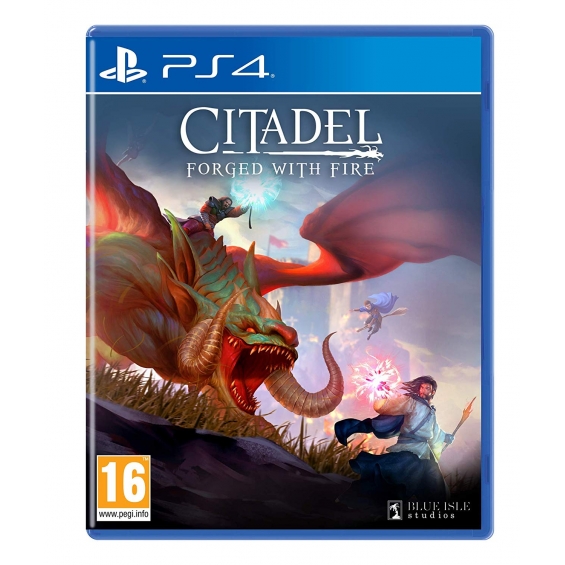 PS4 CITADEL FORGED WITH FIRE
