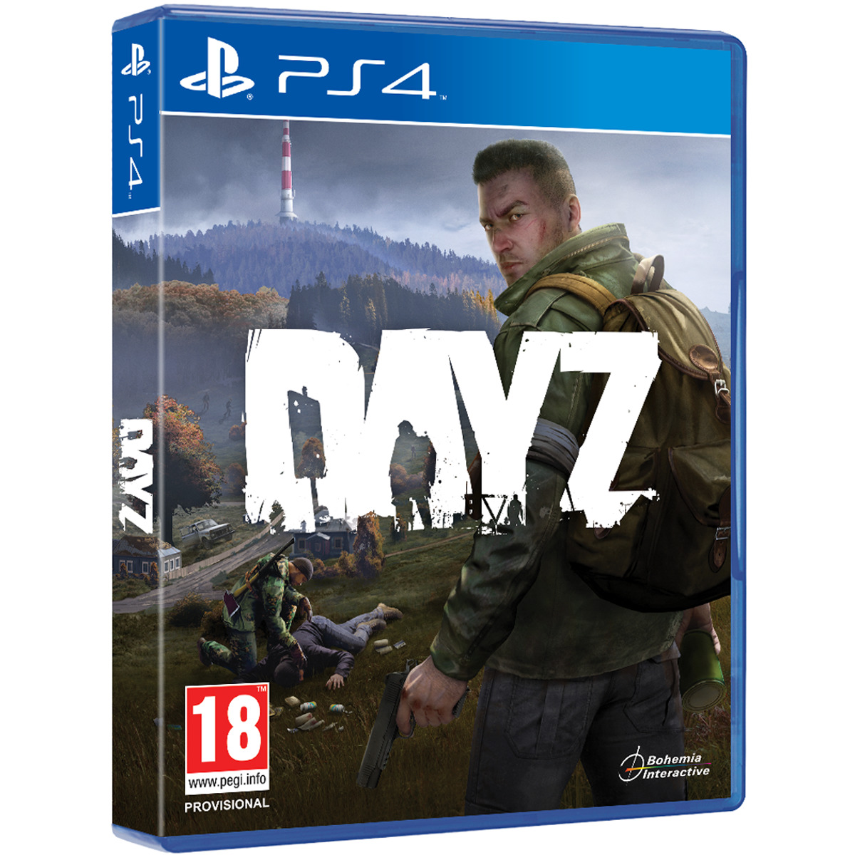 PS4 DAY Z
