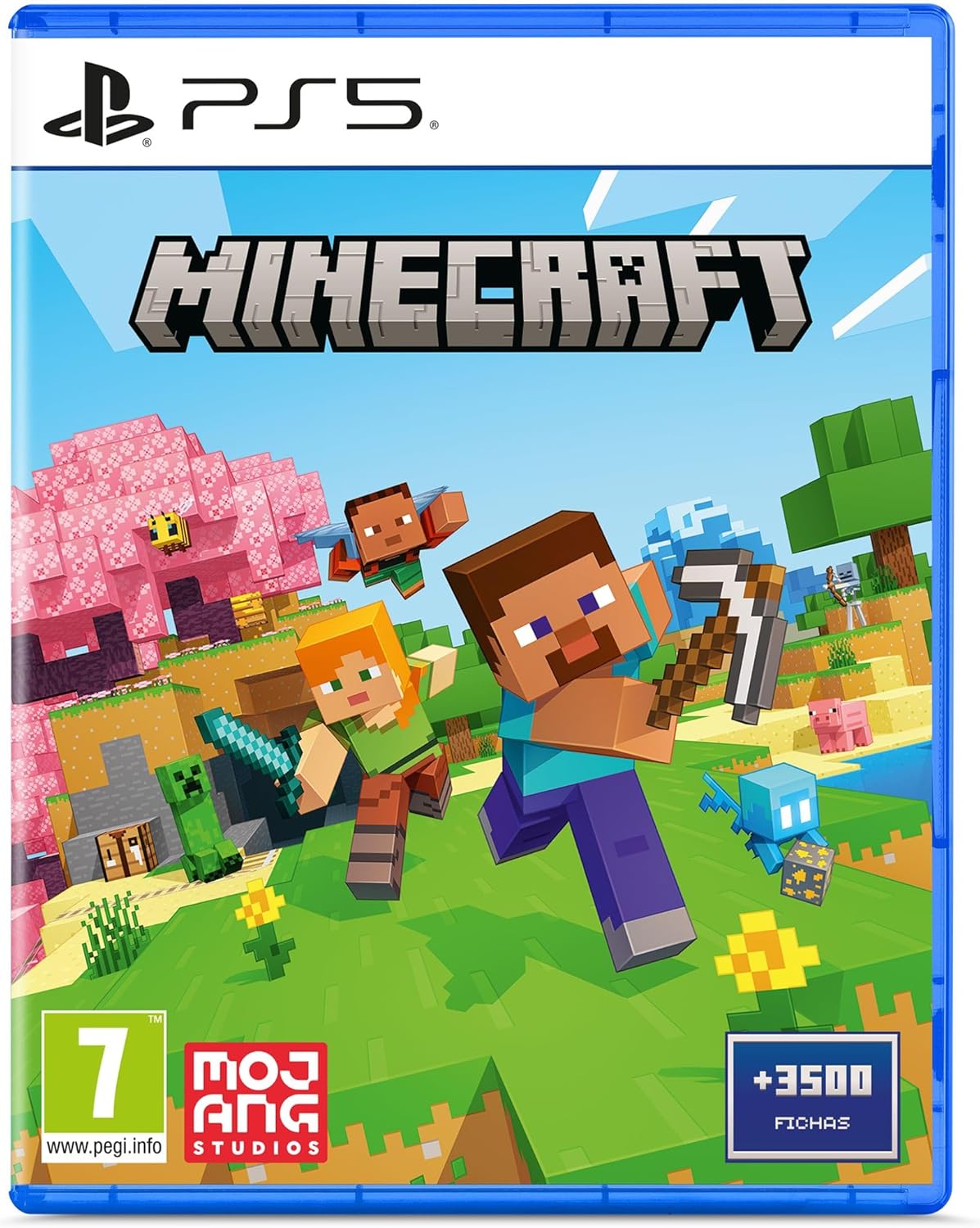 PS5 MINECRAFT