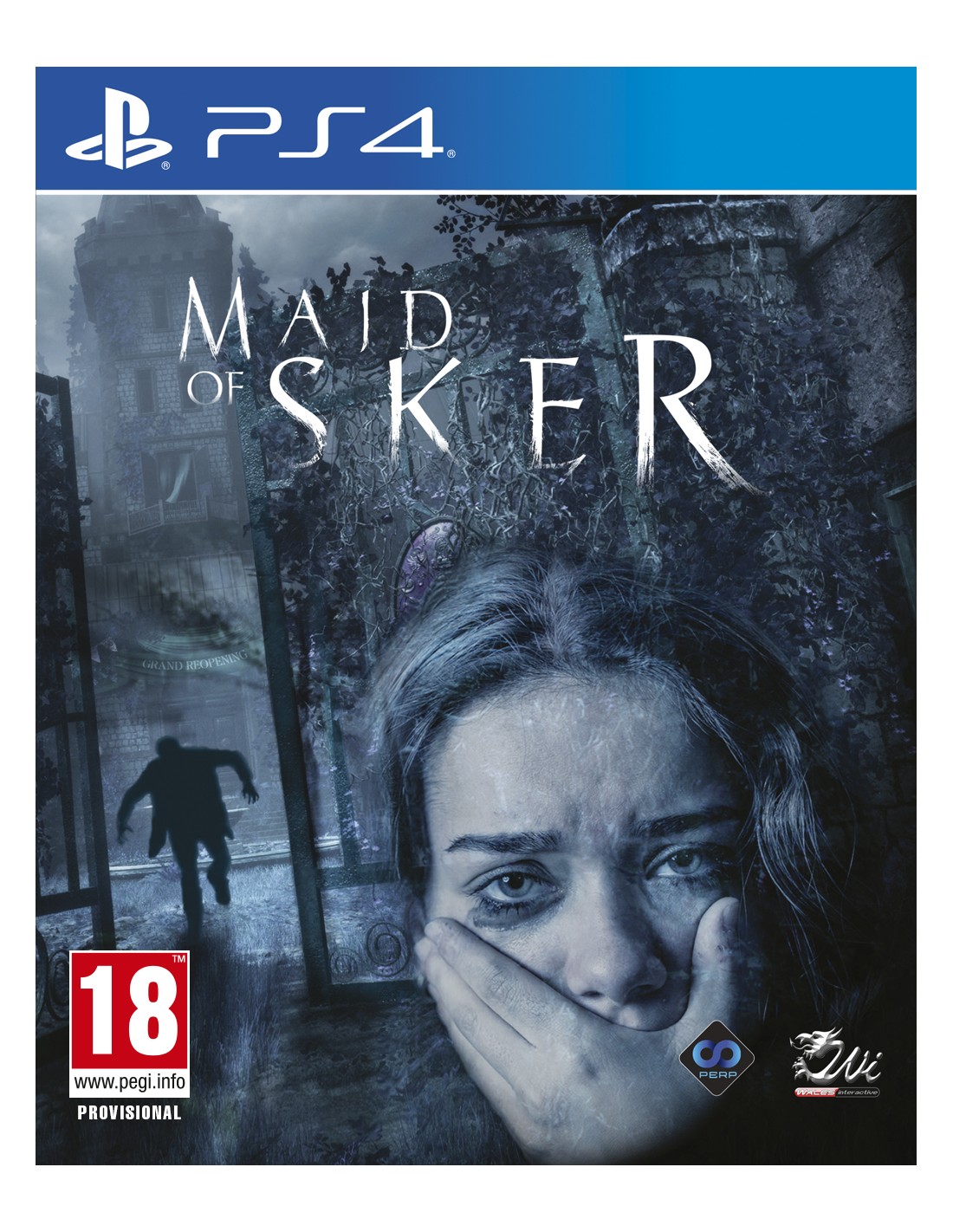 PS4 MAID OF SKER