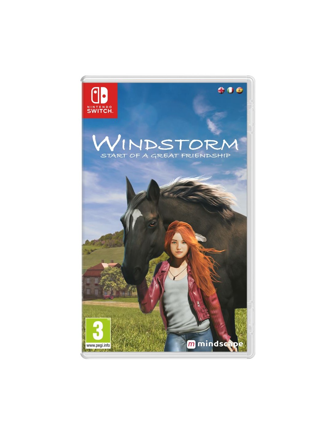 SWITCH WINDSTORM: START OF A GREAT FRIENDSHIP