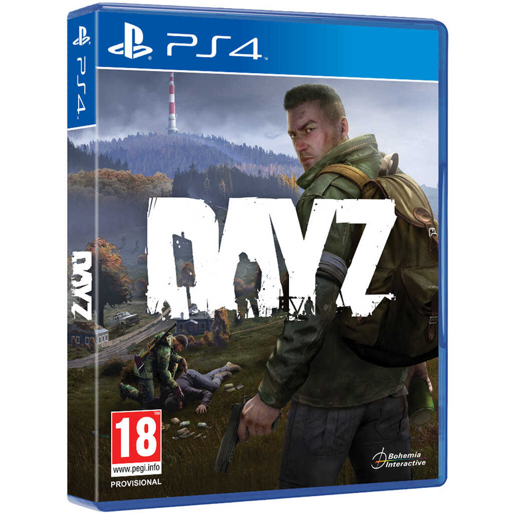 PS4 DAY Z