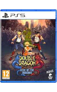 PS5 DOUBLE DRAGON GAIDEN RISE OF THE DRAGONS
