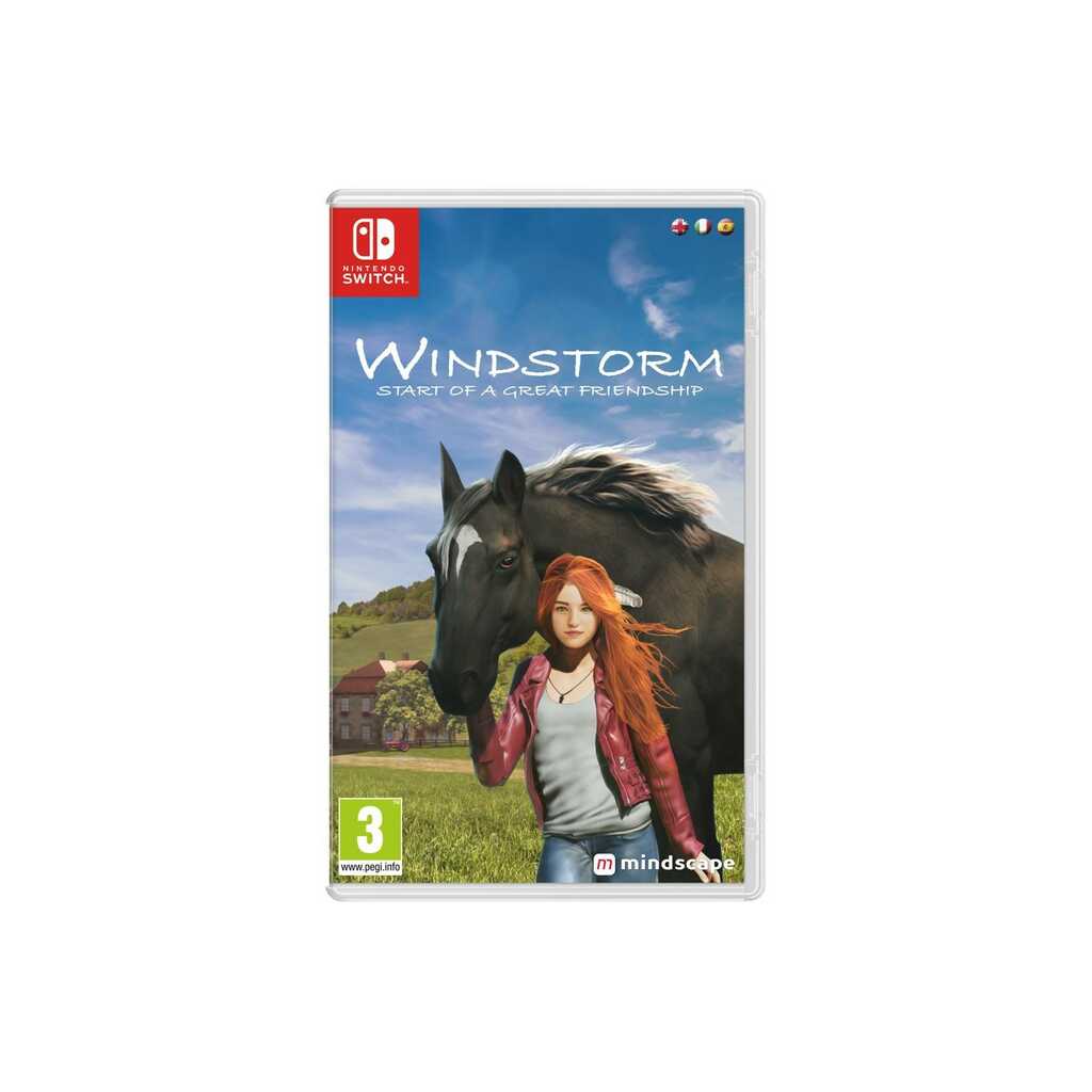 SWITCH WINDSTORM: START OF A GREAT FRIENDSHIP