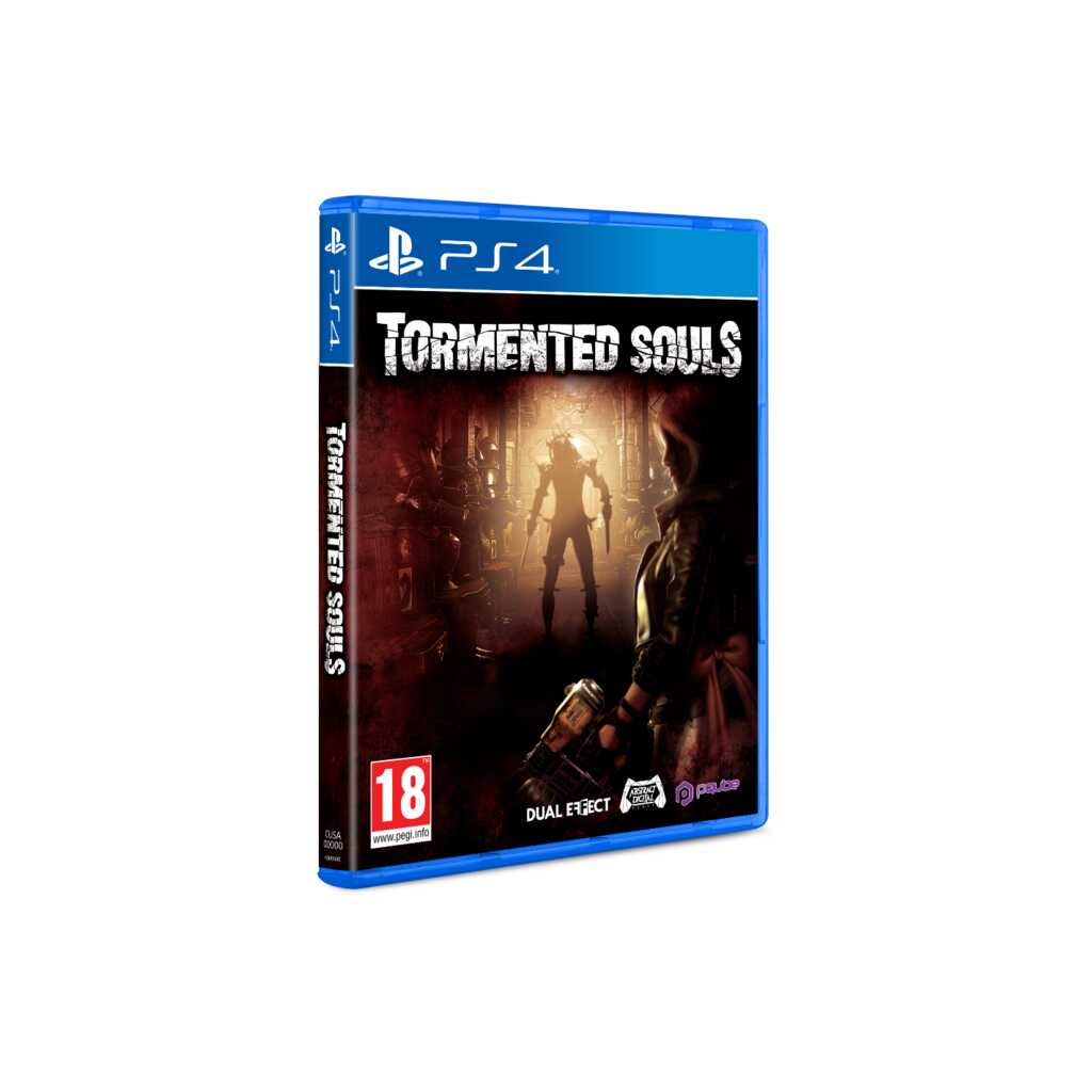 PS4 TORMENTED SOULS