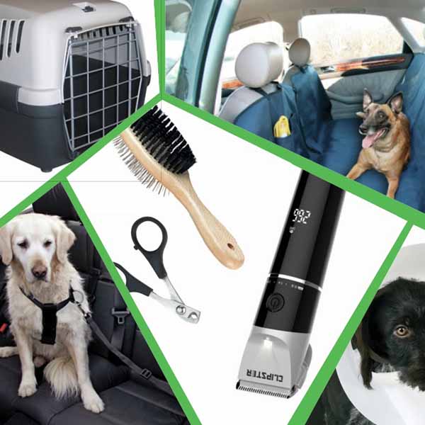 Animais de estimação