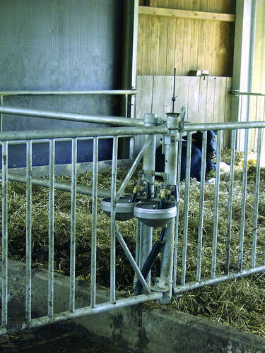 BEBEDOURO SUEVIA MOD 1200-MS¾" , VÁLVULA DE LATÃO 1