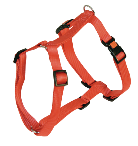 ANEL PARA CÃO VERMELHO 50-75cm 40kg