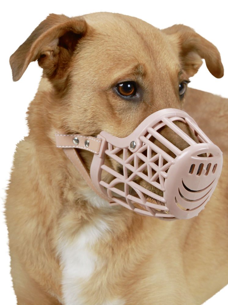 PLASTIC MUZZLE 39 X 9 CM.