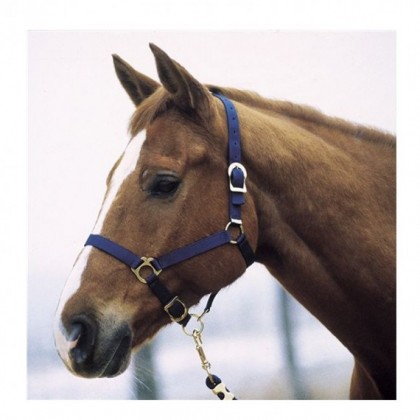 CABEÇADA DE NYLON PARA CAVALOS, AZUL