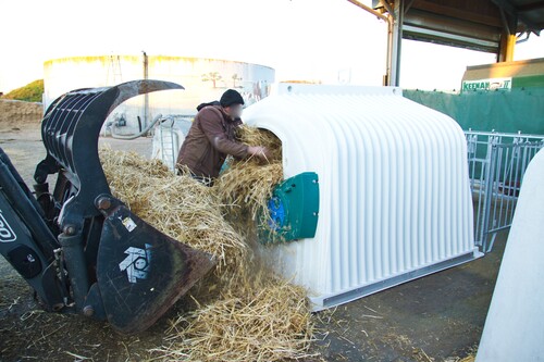 LARGE CAPACITY CALF HUTCH 2