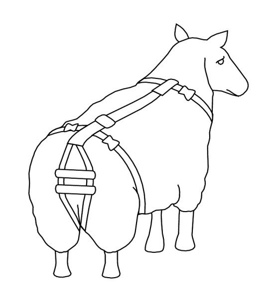 ARNÊS DE PROLAPSO PARA OVELHAS 1