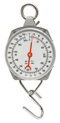 DINAMÓMETRO 250 KGS.  1 KG.