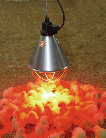 INFRARED BULB PROTECTOR 5 METERS 1