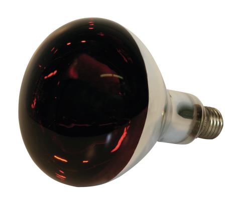 BOMBILLA INFRARROJOS 150 W. ROJA STANDAR