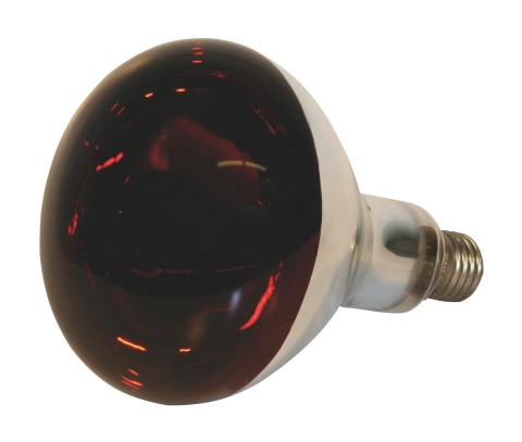 BOMBILLA INFRARROJOS 250 W. ROJA  STANDAR