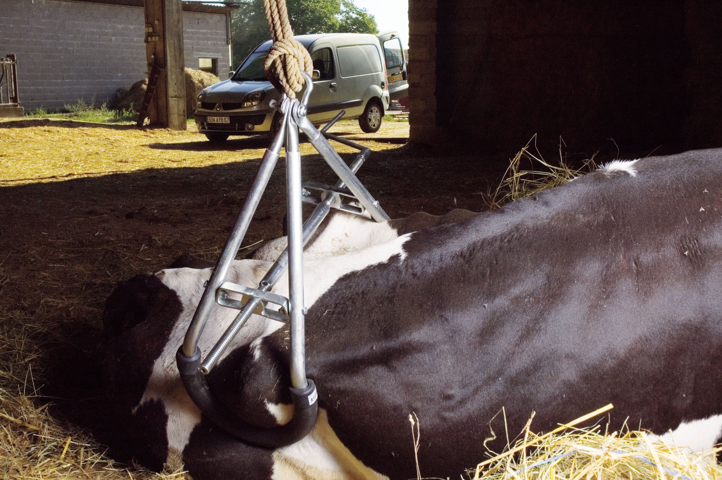 VACA LEVANTAR ATÉ 900 KGS.