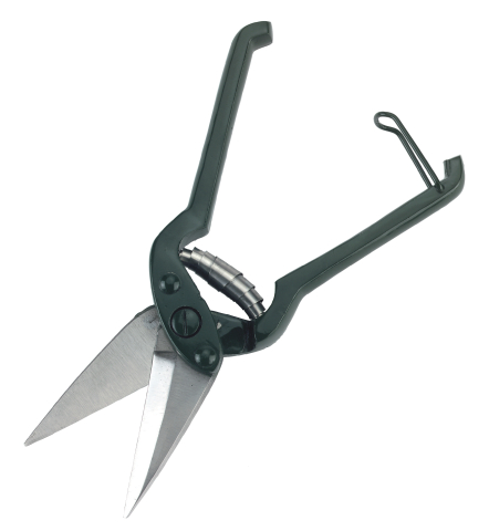 STANDARD SHEEP HOOF SHEARS