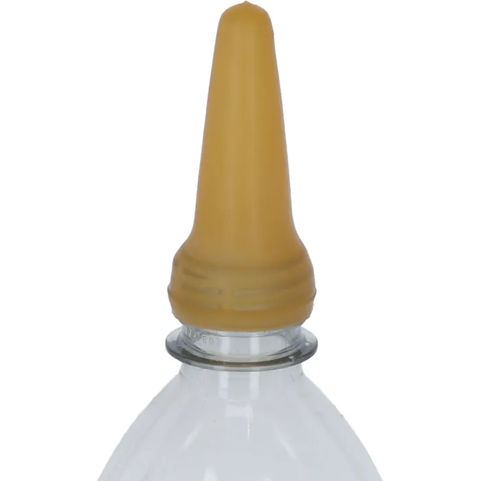 TETA DE BORREGO, BIBERÃO 2