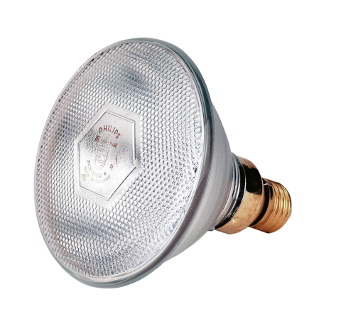 BOMBILLA PHILIPS 100 W. BLANCA