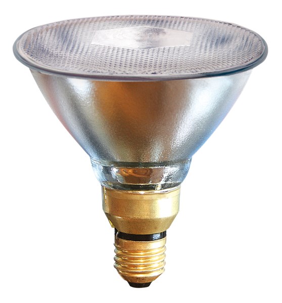BOMBILLA 100 W STANDAR  BLANCA