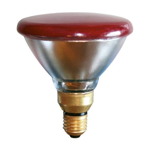 BULB 100 W STANDARD RED 1